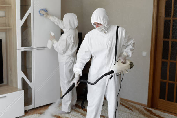 Best Mold Damage Repair  in Lochmoor Waterway Estates, FL