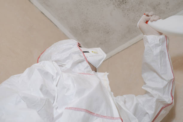 Best Mold Cleaning Services  in Lochmoor Waterway Estates, FL